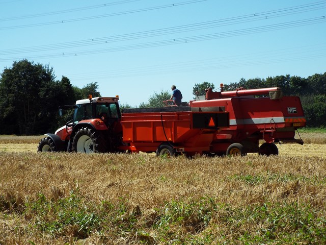 foto